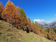 28 Spettacolo di panorami e di larici colorati d'autunno